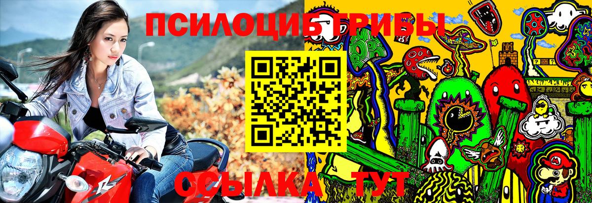 Галлюциногенные грибы мицелий Городец